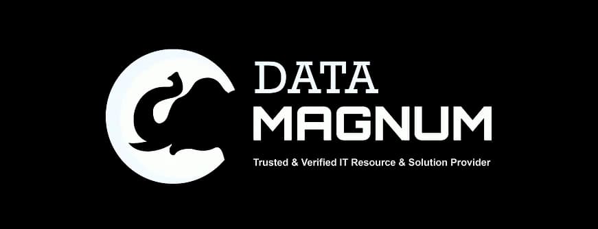 Data Magnum